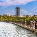 신세계센트럴시티 영랑호리조트 이미지