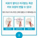 릴넥스 | 목ㆍ어깨ㆍ허리 아픈사람 함께 릴넥스 해요 강력추천!! 내돈내산