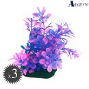 아쿠아테라 수족관 이미지