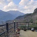 신촌지락 이미지