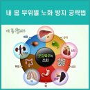 내 몸 부위별(部位別) 노화(老化)를 방지(防止)하는 방법(方法) 이미지