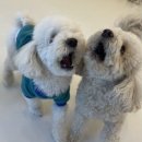 엘라 유치원 이미지