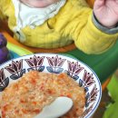 (유)완도환경중기 | 에브리유 이유식큐브 7개월아기 중기이유식 추천