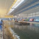 후크선장 이미지