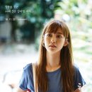 하나식당 티브이데일리