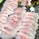 오장횟집 | 겨울숭어 제철회 추천 숭어 왜 그렇게 맛있을까? 속초 설악항회센터