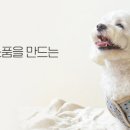 펫스타일 이미지