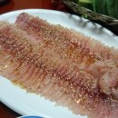 동궁가물치