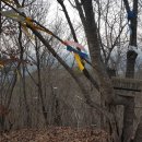 추정3리 이미지