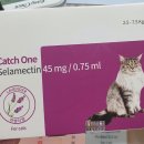 유하약국 이미지