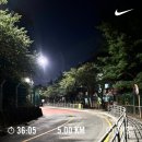 [일상] 8월 5주 강씨‘s 라이프😏
