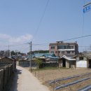 초당동-2 이미지