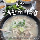 수북한 돼지국밥 이미지