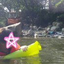 블루버드펜션 이미지