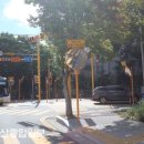 상안초교 이미지