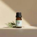 주식회사 수피아 이미지