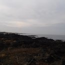 제주 올레길 14코스 이미지