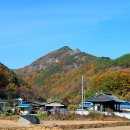 영천