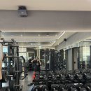 더그레이짐 이미지