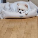 이정약국 | 경주월드 보러 여행가기