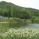 목천대로 이미지