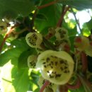 토종축산 이미지