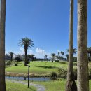 소노캄제주EAST동 | 소노캄 제주 리조트 수영장 조식 사우나 호텔 숙소 후기