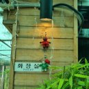 코코테로