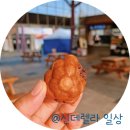 포도넝쿨민박 | 송산포도휴게소 송산포도호두과자 주왕산국립공원 상의주차장 서울 주왕산 고속버스 대전사 무장굴...