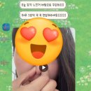 더트레이닝 | 프리다이빙 자격증 실패 후기 더딥스 초급입문 데이3 후기(나리쌤) / 정기트레이닝(햇살쌤)