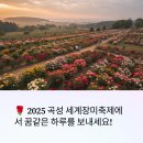 플라워모텔 | 이번 주말 곡성 세계 장미축제 어떨까? 실시간 후기 확인