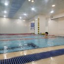 스윔 스타즈 이미지