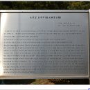 조천상 효자각 이미지