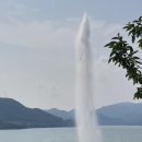 청풍랜드 이미지