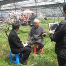 박사농장 이미지