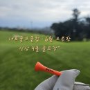 내포로 | 내포골프클럽 라운드 후기