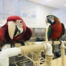 가든조류원 이미지