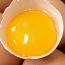 주식회사 신선푸드 이미지