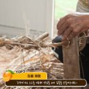 신풍리마을 Daum카페