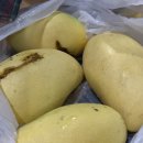 보라카이 여행 준비물, 맛집, 쇼핑리스트, 스타벅스 (모두투어 패키지 솔직후기)