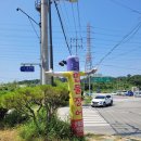 풍천민물장어직판장 이미지