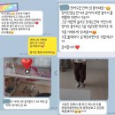 구미 산동 유아, 초등영어 학원 후기
