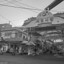 송백시장 이미지