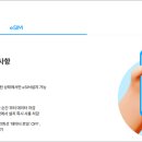 해외 데이터사용 이미지