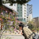[육아기] 아기 13개월 - 애개육아/행주산성/뽀로로테마파크/숟가락사용