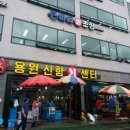 용원회센타 이미지