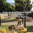 롯데마트 김포공항점 | 롯데몰 김포공항점, 롯데마트 애견동반 + 김포공항 펫파크 | 강아지랑 강서구 주말 나들이 코스