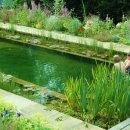 생태연못 이미지