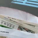 4월 마지막 주말, 별거 없는 이모저모 일상