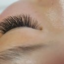 신정초 사거리(4) 이미지